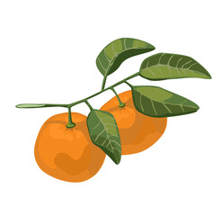Mandarins with leafs