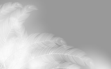  Background of flying realistic vector  goose or swan white feathers.Ecological feather filler for...