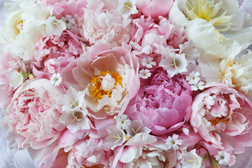 Pink and white peonies, bell flowers, gypsophila closeup, beautiful background, postcard.