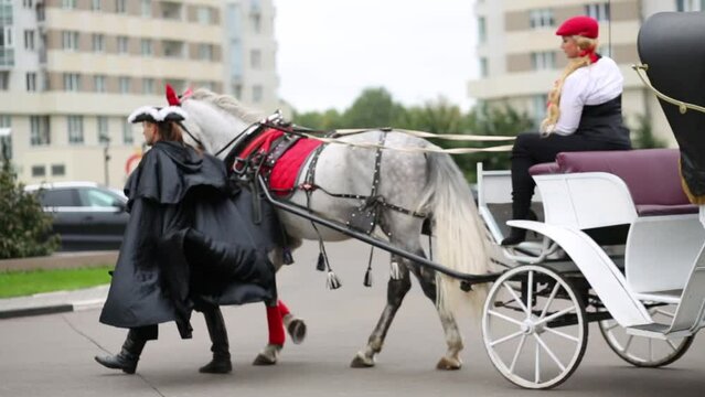 Blond woman and coachman with accessories are riding of white horses carriage 