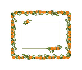frame with mandarins and leafs
