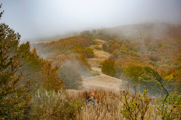 view of the autumn misty mountain panorama
