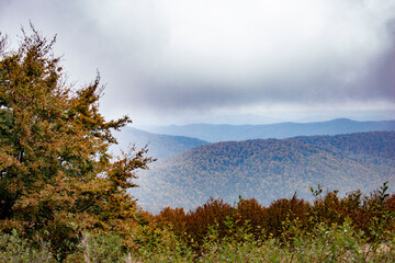 view of the autumn misty mountain panorama