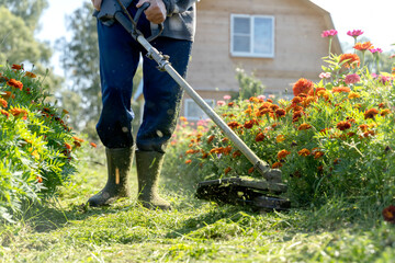 a gardener with a grass trimmer mows the grass