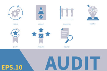 Audit icons set . Audit pack symbol vector elements for infographic web