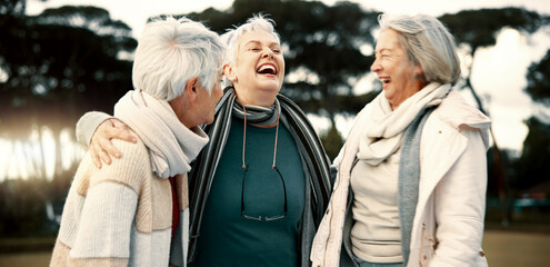 Talking, funny and senior woman friends outdoor in a park together for bonding during retirement....