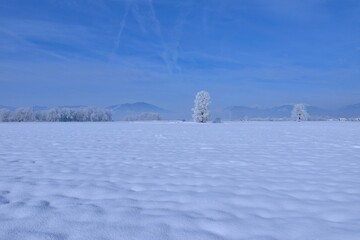 Winter, landscape at Sorko Polje in Gorenjska, Slovenia