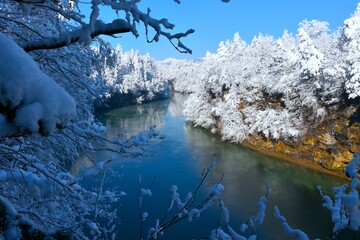View of Sava river canyon in winter and snow covered trees above in Slovenia