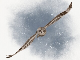 Watercolor digital illustration. A flying owl on a snowy night. Watercolor art and drawing. You can use this illustration as a design for various items, as a greeting card, on a sticker and much moreю