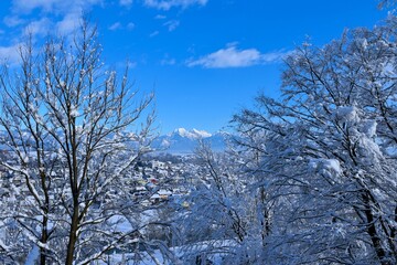 View of Skuta and Grintovec mountains and snow covered trees with buildings in Škofja Loka in Gorenjska, Slovenia
