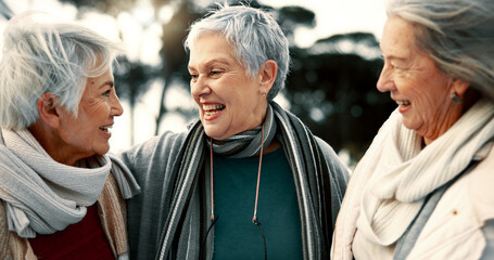 Talking, laughing and senior woman friends outdoor in a park together for bonding during retirement. Happy, smile and funny with a group of elderly people chatting in a garden for humor or fun - obrazy, fototapety, plakaty