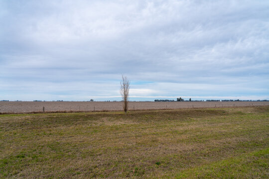 View of flat farm fields on the side of the highway to Buenos Aires Argentina
