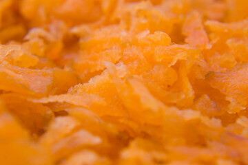 Colorful Harvest, Carrots and Beets