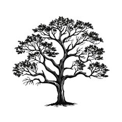 Black Tree Silhouette Isolated, Old Style Ink Drawing Icon, Tree Sketch, Woodcut or Engraving