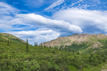 Denali National Park and Preserve,Alaska,United States,North America	