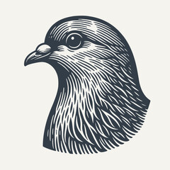 Pigeon Head. Vintage woodcut engraving style vector illustration. - obrazy, fototapety, plakaty