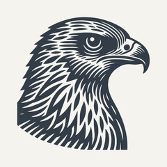 Hawk Head. Vintage woodcut engraving style vector illustration.