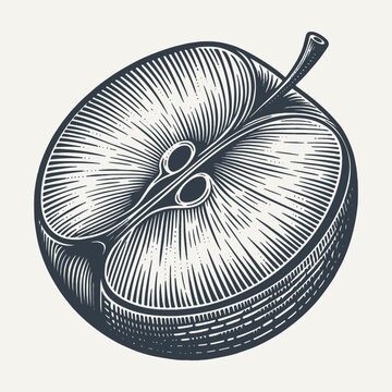 Sliced Apple. Vintage woodcut engraving style vector illustration.