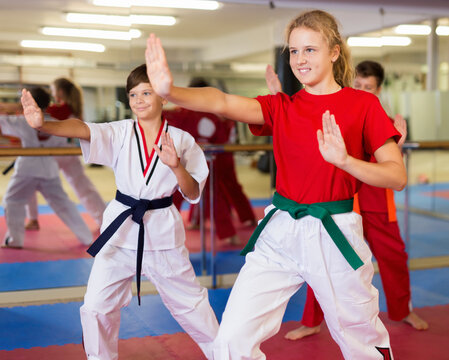 Boys and girls are studying karate technique in the gym