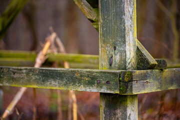 A walk, a clearing, water, green grass