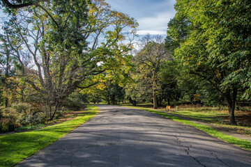Arnold Arboretum 2