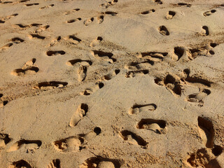 footprints on a beach on Fuerteventura, Canary Islands