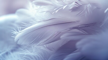 Delicate details emerge from the intricate patterns of feathers, revealing a world of beauty and grace in every inch