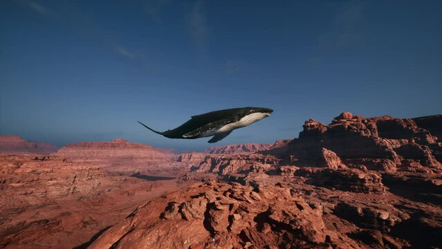 A Majestic Whale Soaring Through the Skies Over the Breathtaking Grand Canyon