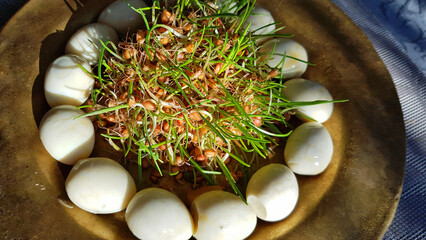 Sol eggs from quails on wheatgrass sprouts