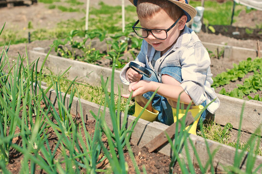 Fototapeta Little boy studying plants on a sunny summer day in the garden, magnifying glass. Happy boy in glasses and hat with magnifying glass in hands looking at plants in vegetable garden