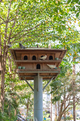 Traditional homemade wooden bird house on a park.