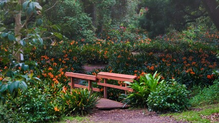 Obraz premium A bridge in a garden