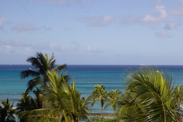 Fototapeta na wymiar Tropical Ocean Landscape, Palm Trees, Waves, Hawaii, Blue Water, Ocean View