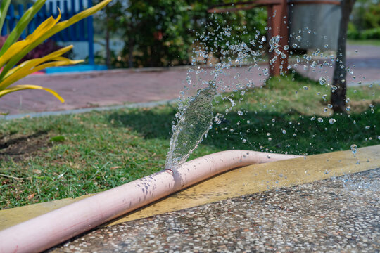 Water leaking from a rubber hose in the garden.