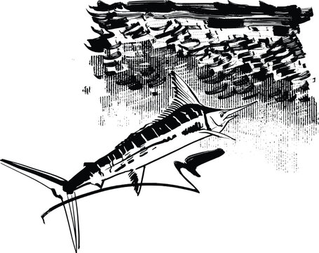 Marlin fish in the ocean and small  fish around