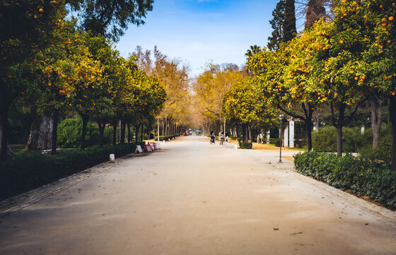 dona maria luiza park in sevile south of spain
