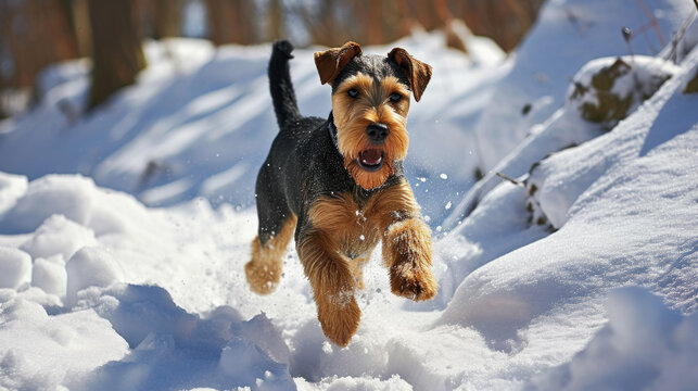 Dog running through snow in woods. Perfect for winter-themed designs and pet-related projects