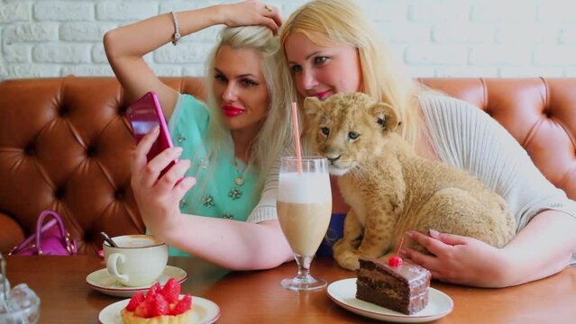 Two women make selfie with lion cub on phone at table with drinks