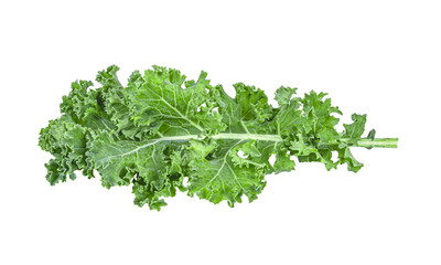 fresh kale isolated on transparent png