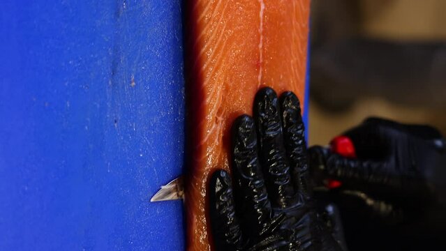 chef man hand is cutting salmon on blue board in restaurant, preparing dish for catering.cubes of fish with green spinach over ging in grill oven. close up from kitchen 4k