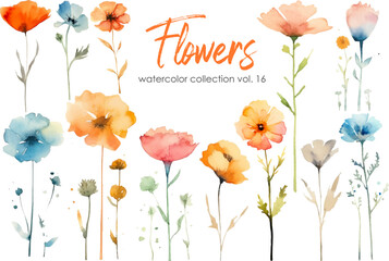 Watercolor flowers collection. Hand drawn floral vector elements isolated on white background.Botanic Wedding floral design.