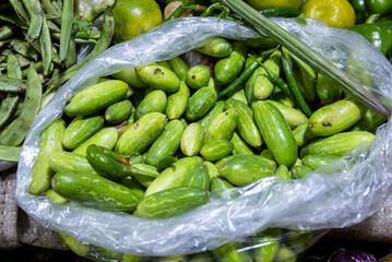 Ivy gourd or scarlet gourds green vegetables at vegetable store for sale at evening