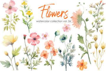 Watercolor flowers collection. Hand drawn floral vector elements isolated on white background.Botanic Wedding floral design.