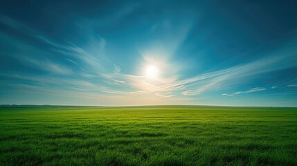 Fototapeta premium Vibrant Green Meadow Under a Blue Sky: A vast, lush green field stretches toward the horizon under a bright, clear blue sky, the sun shining majestically above. A peaceful.