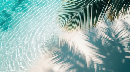 Fototapeta na wymiar palm leaf beach with seashore pure water sea and white sand. top view of water surface with tropical leaf shadow. Shadow of palm leaves on white sand beach. Beautiful background 