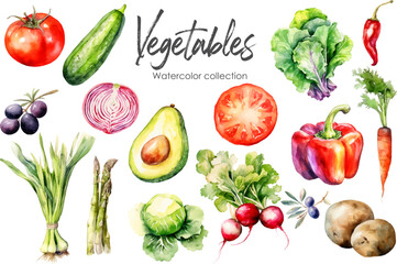 Watercolor vegetables collection. Hand drawn vector fresh food elements isolated on white background