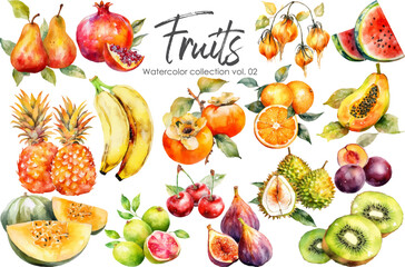 Watercolor fruits collection. Hand drawn vector fresh food elements isolated on white background
