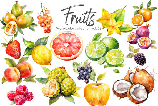 Watercolor fruits collection. Hand drawn vector fresh food elements isolated on white background