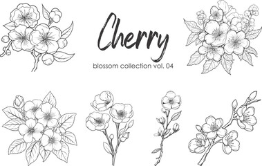 Cherry flower blossom collection. Spring almond, sakura, apple tree branch, hand draw doodle vector illustration. Cute black ink art, isolated on white background. Realistic floral bloom sketch.