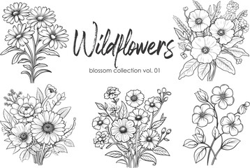 Wildflowers line art vector illustration set isolated on white. Flower black ink sketch. Modern minimalist hand drawn design. - obrazy, fototapety, plakaty